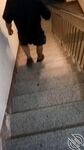 海角社區變態男亂倫強上哺乳期蒙眼反差婊嫂子 今天中秋節我強奸了嫂子愉悅的亂倫過後又該怎麼面對