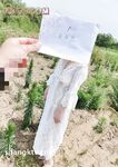 蜂腰肥臀尤物反差婊~極品吊鍾巨乳人妻想想私拍視圖戶外野戰人前露出調教啪啪呻吟好聽直叫爸爸