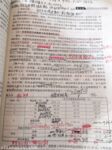 極品可愛萌妹性愛露出甄選『GiGi+康諾諾+美玉姐姐+小蘿一米五』豐臀 美乳 粉穴XC征服者